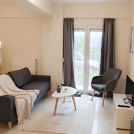 Cozy Modern Apartment ヨアニナ エクステリア 写真