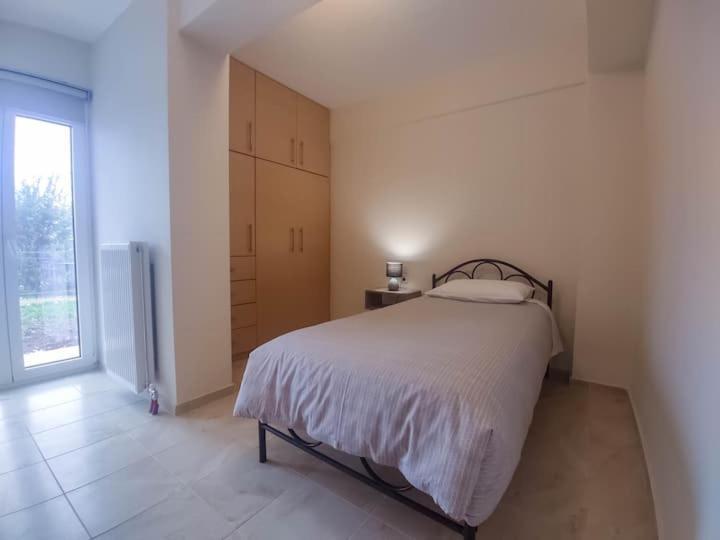Cozy Modern Apartment ヨアニナ エクステリア 写真